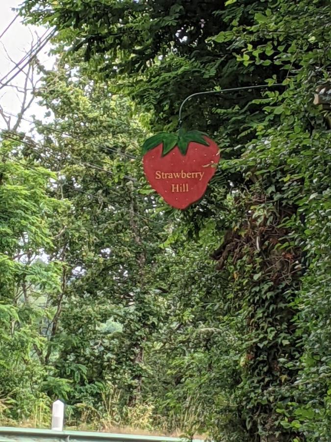 Bed and Breakfast Strawberry Hill Chissey-en-Morvan Exterior foto